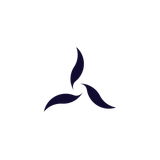 Regium Funding